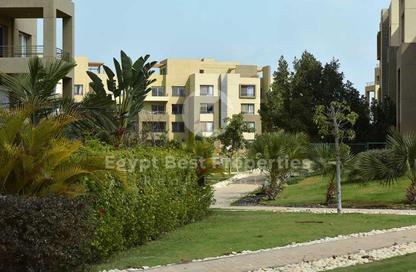 Apartment - 3 Bedrooms - 2 Bathrooms for sale in Palm Parks   Palm Hills - South Dahshur Link - 6 October City - Giza