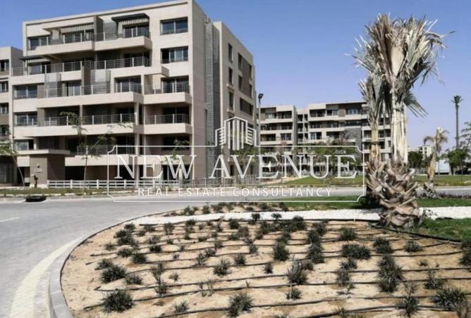 8239432 - Property Image 2