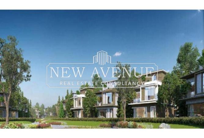 8245990 - Property Image 3