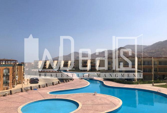7919905 - صورة العقار 2