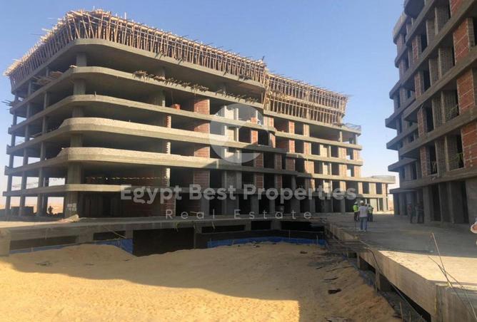 8161028 - Property Image 3