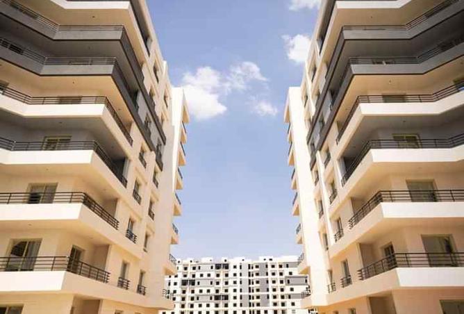 8278971 - Property Image 2