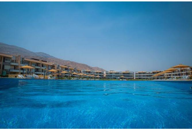 8283627 - صورة العقار 2