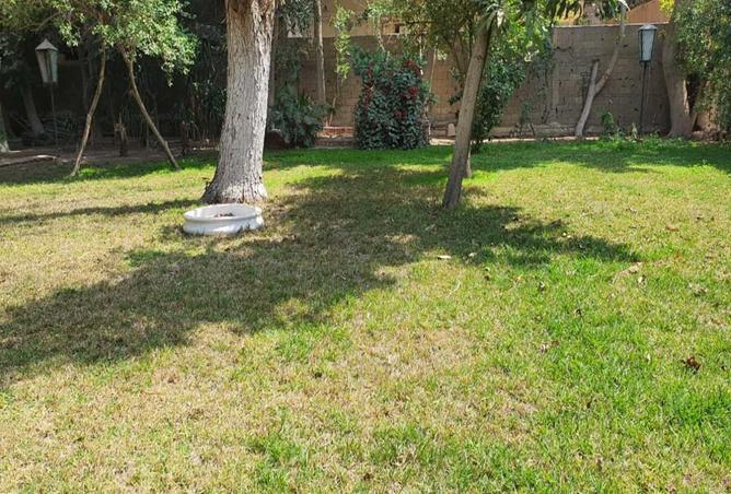 7887571 - Property Image 3