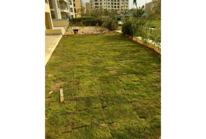 8061279 - صورة العقار 2