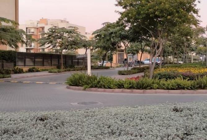 8459949 - Property Image 3