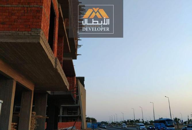 8206495 - صورة العقار 3