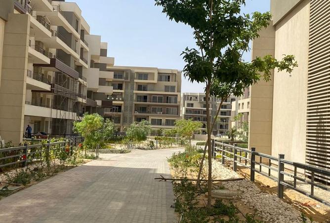 8453076 - Property Image 3