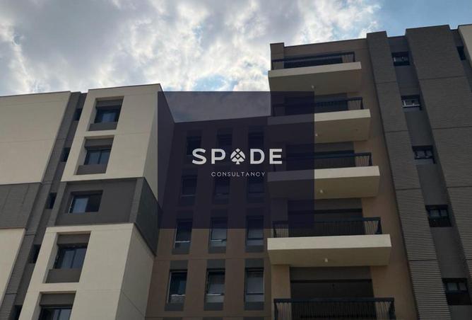 8376858 - Property Image 2