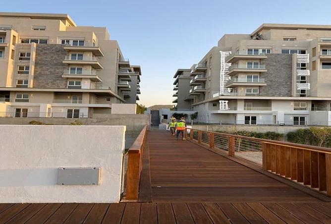 7990897 - Property Image 3