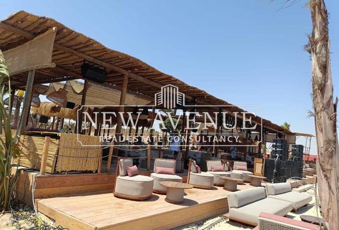 8197343 - Property Image 3