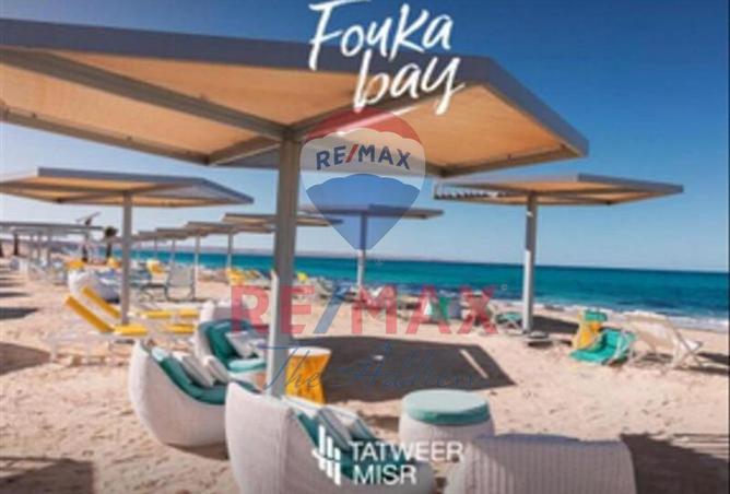 8293300 - صورة العقار 2