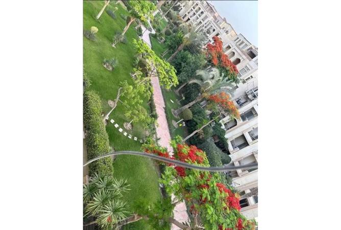 8001371 - صورة العقار 3