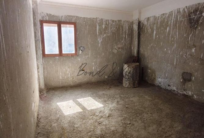 8056672 - Property Image 3