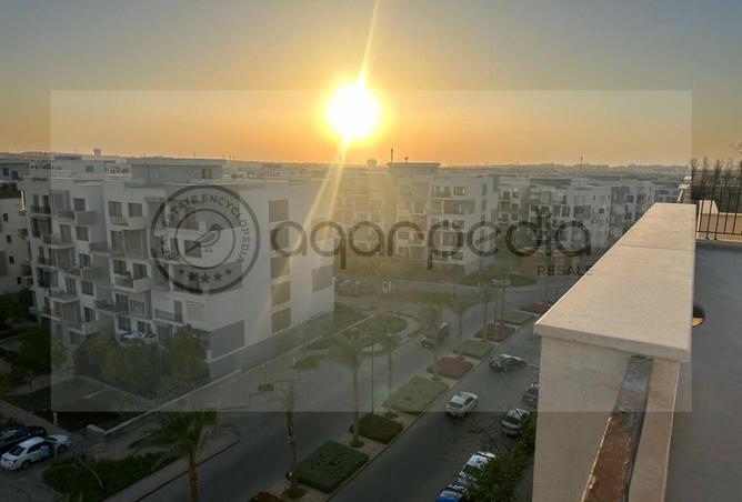 8204288 - Property Image 2