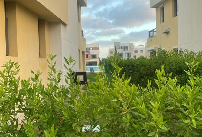 7892731 - صورة العقار 3