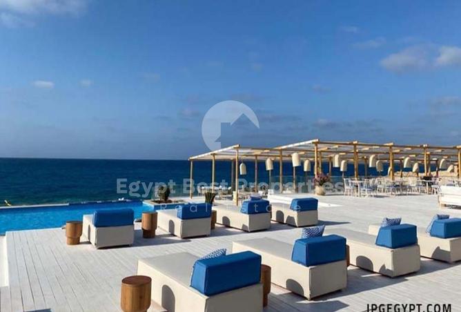 8299544 - Property Image 3