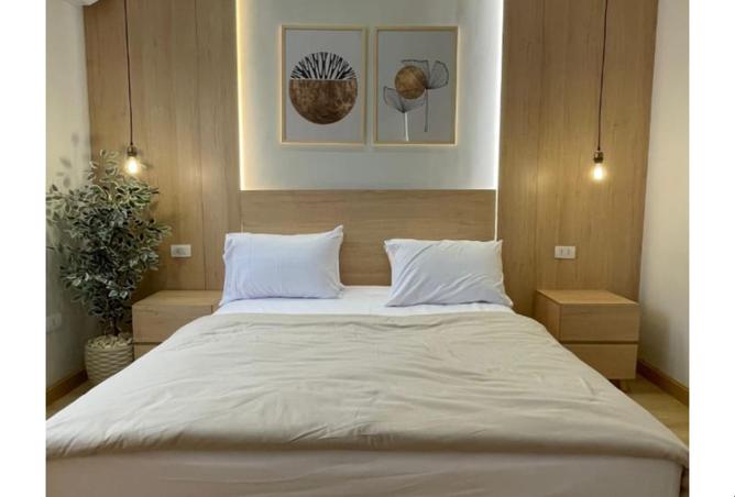 8099578 - Property Image 3