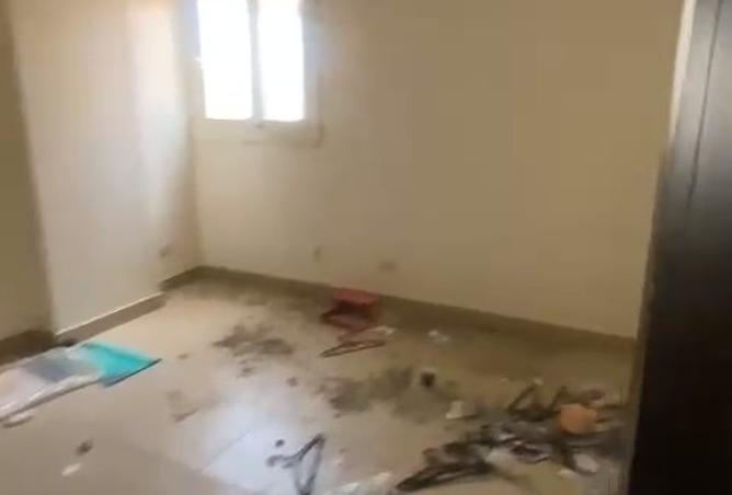 8195529 - Property Image 3