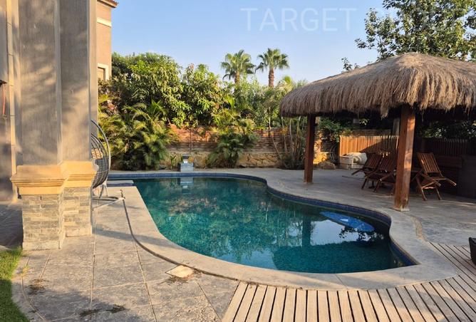 8146321 - Property Image 2