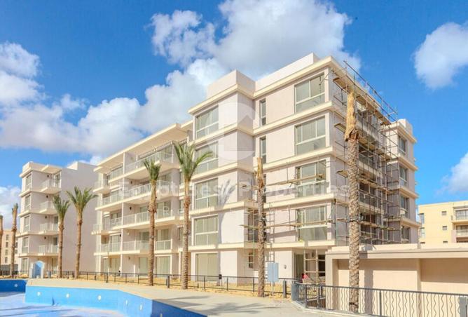 8029967 - Property Image 3