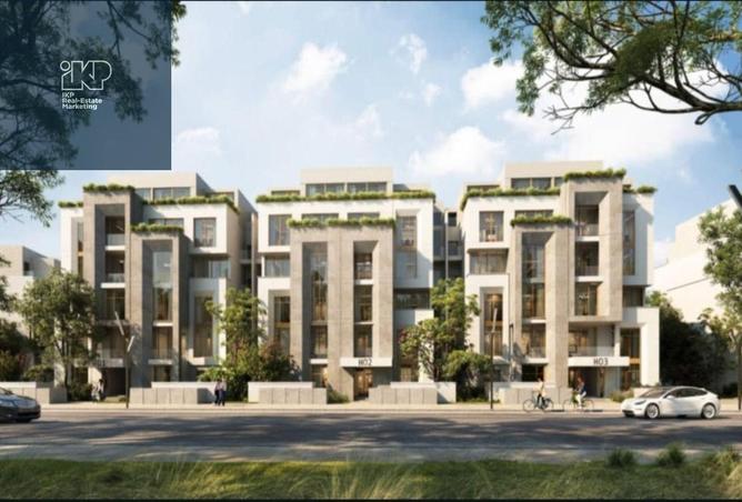 7929116 - Property Image 3