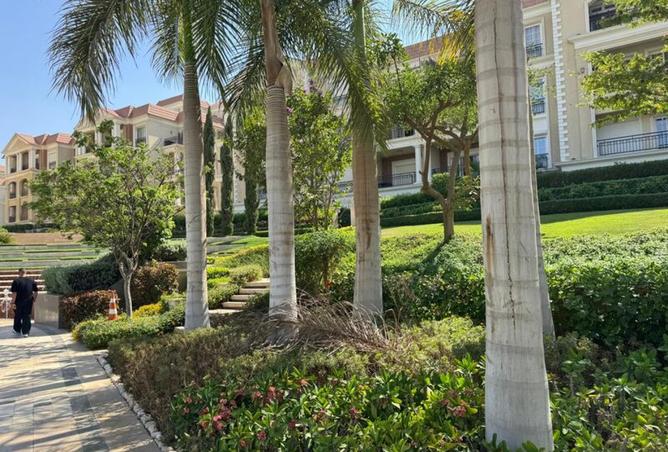 8231837 - Property Image 3