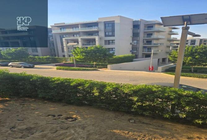 8285592 - Property Image 3