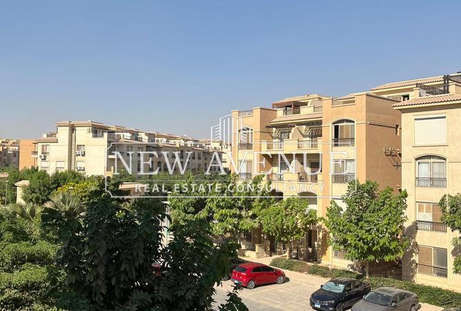 8093156 - Property Image 3