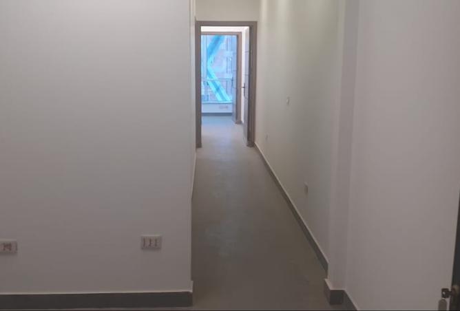 8383185 - Property Image 3