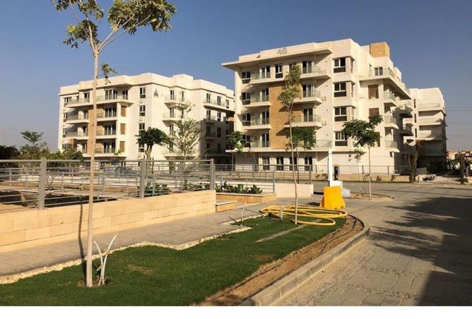 8294979 - صورة العقار 2