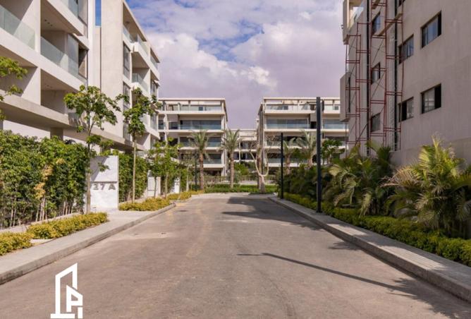 8182702 - الصورة الرئيسية للعقار