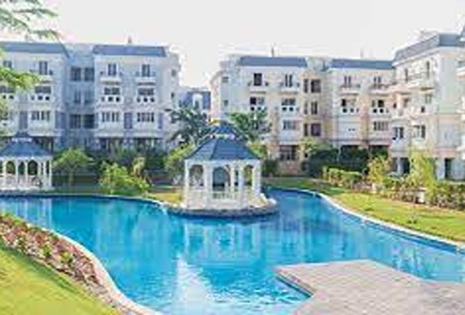 8006251 - صورة العقار 2