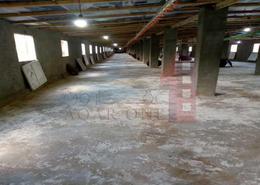 Warehouse for للايجار in International Coastal Road - El Mansheya El Bahri - Hay Awal El Montazah - Alexandria