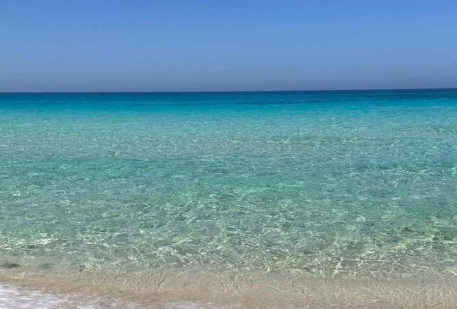 7968152 - صورة العقار 3