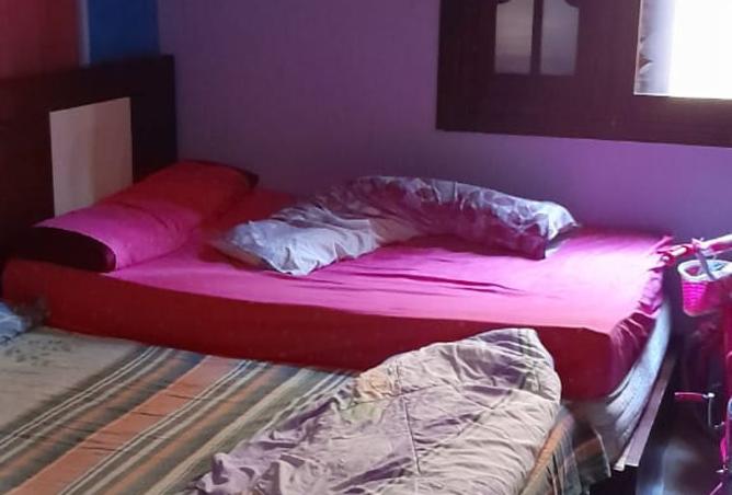 8299244 - Property Image 3