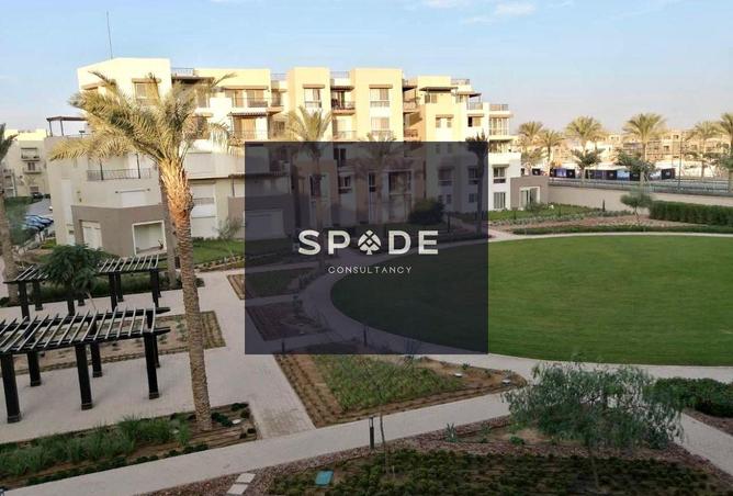 8237267 - صورة العقار 2