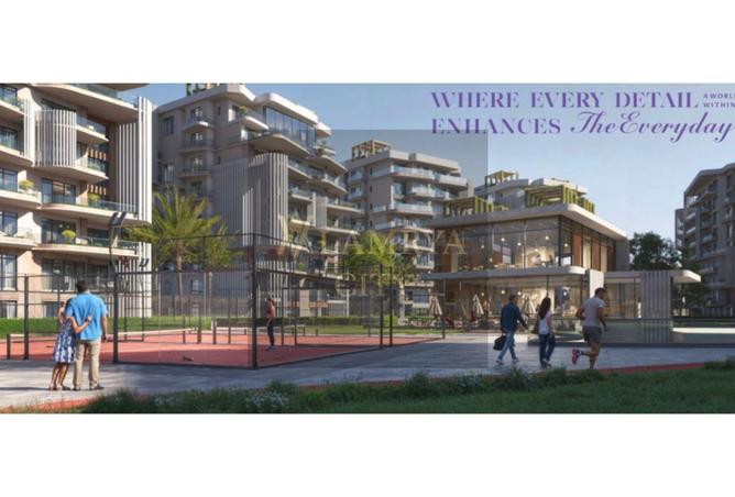 8365555 - Property Image 3