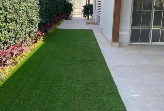 8157113 - صورة العقار 3