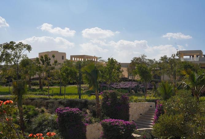 8537179 - صورة العقار 3