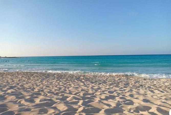 7945062 - صورة العقار 3