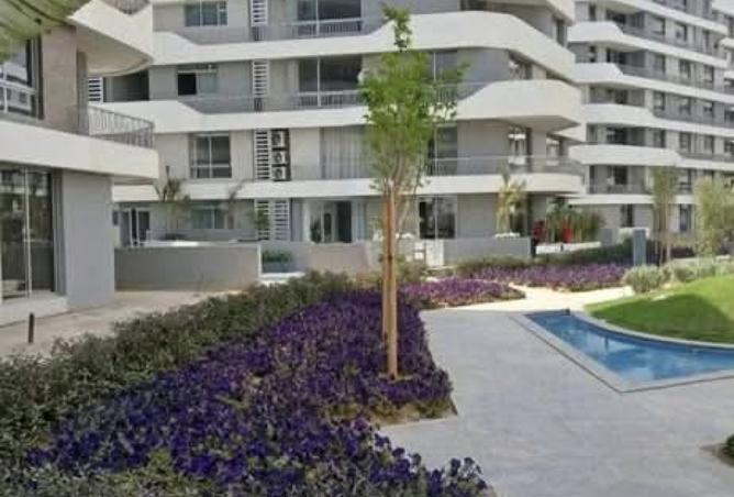 8213986 - Property Image 3