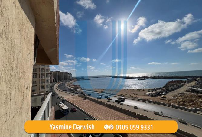 7982058 - صورة العقار 3