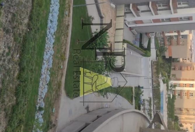 8379281 - Property Image 3