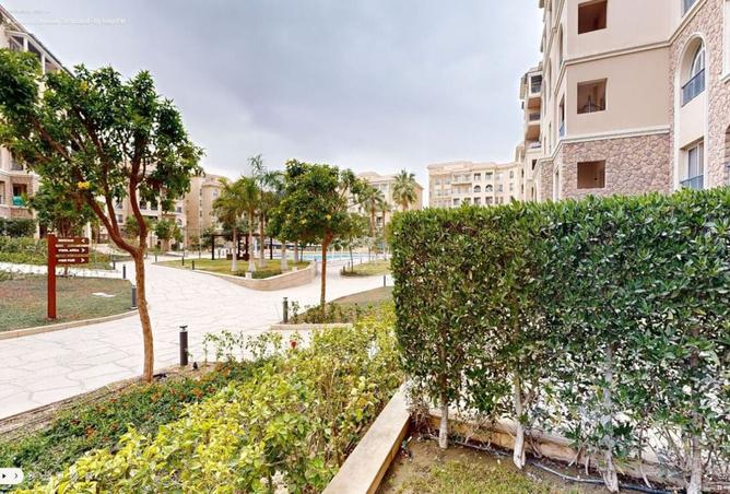 7955913 - صورة العقار 3