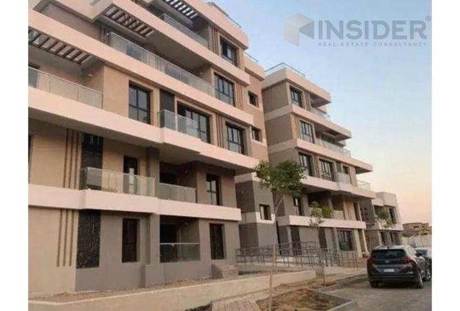 8291871 - Property Image 2