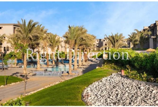 8246803 - Property Image 3