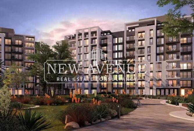 8088639 - Property Image 3