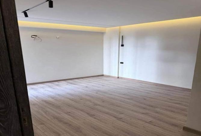 8161364 - Property Image 3