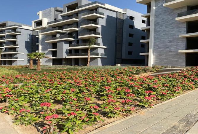 7984966 - Property Image 3